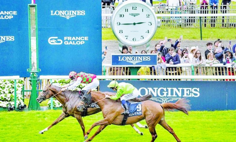 انطلاق منافسات كأس قطر فرنسا للخيل العربية الأصيلة