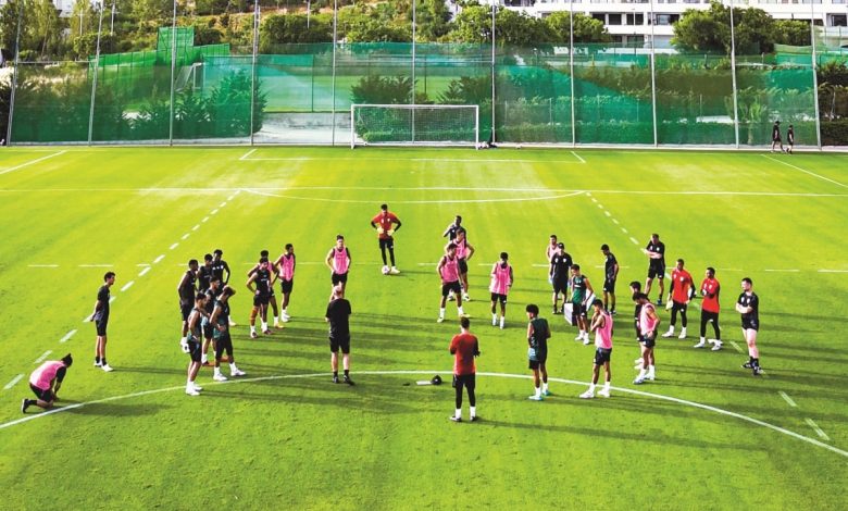 الوكرة يلاقي الجزيرة الإماراتي ودياً