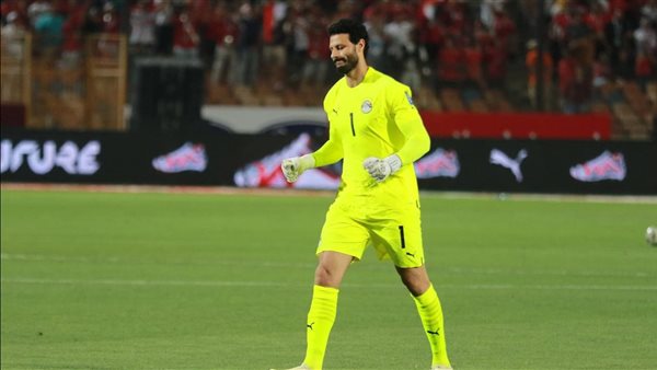 محمد الشناوي