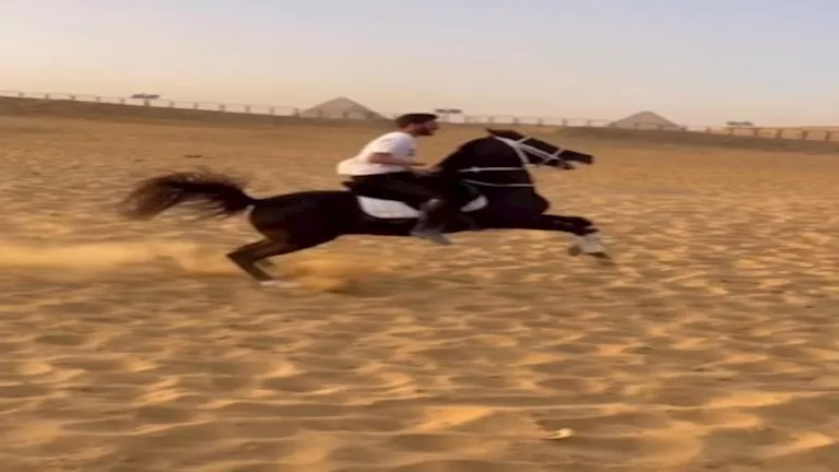 أبرز المعلومات عن نجل عصام الحضري 1 أبرز المعلومات عن نجل عصام الحضري
