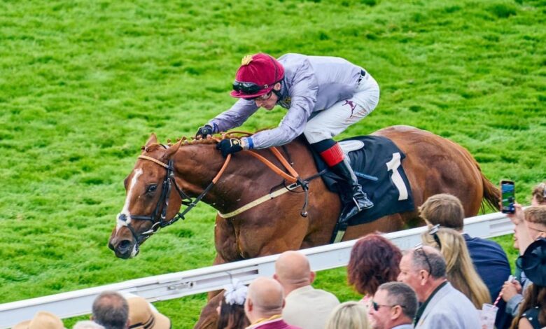 ‫ نتائج متميزة للخيل القطرية في ثالث أيام مهرجان قطر