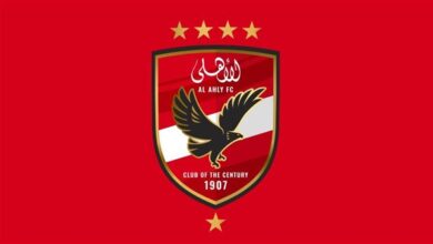 الأهلي يتظلم من الحكم السنغالي.. ويطلب عدم إيقاف «جراديشار» 5 الأهلي