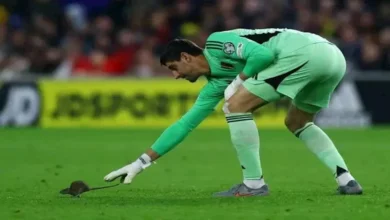 حارس بلجيكا يترك مرماه ويطارد "فأرًا" بتصفيات كأس العالم.. ما القصة ؟ 5 حارس بلجيكا يترك مرماه ويطارد "فأرًا" بتصفيات كأس العالم.. ما القصة ؟