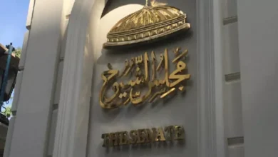 نائب رئيس الزمالك وقائد المنتخب.. 4 رياضيين ضمن تعيينات مجلس الشيوخ