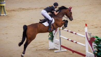 انطلاق الجولة السادسة من جولات قطر للفروسية لونجين هذاب