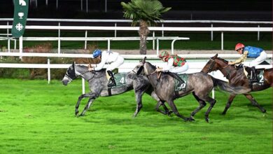 تألق قطري في شوط التحدي الفرنسي الكلاسيكي لمنتجي الخيل