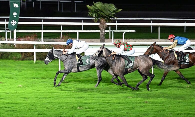 تألق قطري في شوط التحدي الفرنسي الكلاسيكي لمنتجي الخيل