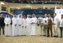 اختتام مثير لمنافسات بطولة الريان المحلية الثانية لخيل الجزيرة