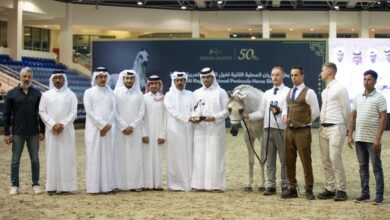 اختتام مثير لمنافسات بطولة الريان المحلية الثانية لخيل الجزيرة