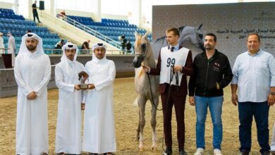 تواصل منافسات بطولة قطر الثامنة والعشرين لجمال الخيل العربية