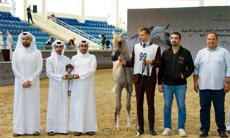 تواصل منافسات بطولة قطر الثامنة والعشرين لجمال الخيل العربية