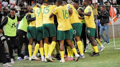 مجموعة مصر.. جنوب أفريقيا تنجو من فخ أنجولا بفوز صعب في «كان 2025» 2 مصر جنوب أفريقيا تنجو من فخ أنجولا بفوز صعب
