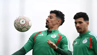 الجزائر والكونغو الديمقراطية.. تفوق عربي وفوز غائب منذ 38 عاما