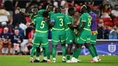 تاريخ مواجهات السودان والسنغال قبل مواجهة كأس الأمم 4 تاريخ مواجهات السودان والسنغال قبل مواجهة كأس الأمم