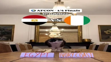 قط وببغاء ودولفين.. تعرف على أحدث توقعات نتيجة مباراة مصر وكوت ديفوار 6 قط وببغاء ودولفين.. تعرف على أحدث توقعات نتيجة مباراة مصر وكوت ديفوار