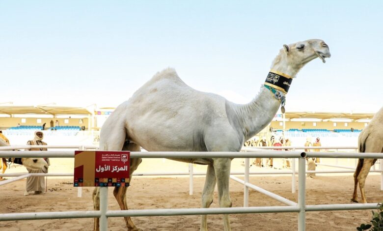 الشرافي يبقي سيف المغاتير بميدان لبصير