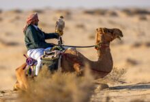 ‫ فريق لجلعة يتصدر منافسات المجموعة الثانية في بطولة القلايل