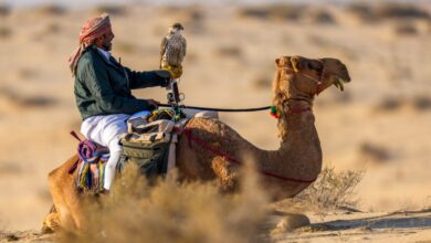 ‫ فريق لجلعة يتصدر منافسات المجموعة الثانية في بطولة القلايل