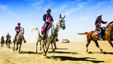 ‫ إعلان تفاصيل سباق سيف سمو الأمير لقوة التحمل