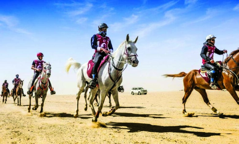 ‫ إعلان تفاصيل سباق سيف سمو الأمير لقوة التحمل