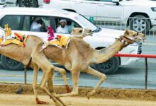 ‫ أبناء الشحانية يواصلون حصد الرموز في مهرجان ختامي المرموم