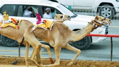‫ أبناء الشحانية يواصلون حصد الرموز في مهرجان ختامي المرموم