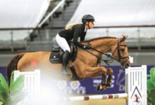 ‫ الدوحة للفروسية تنقل 147 خيلًا إلى أوروبا