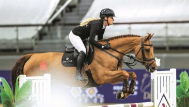 ‫ الدوحة للفروسية تنقل 147 خيلًا إلى أوروبا