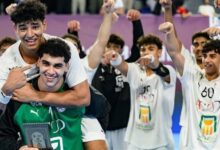 منتخب مصر ٢٠٠٨ لكرة