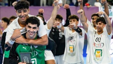 منتخب مصر ٢٠٠٨ لكرة