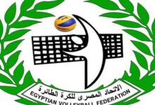 الكرة الطائرة