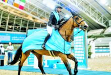 ‫ اليوم انطلاق نهائي دوري الشقب لقفز الحواجز
